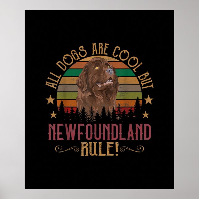 Lönsamma hundar är Coolor men Newfoundland-regler Poster (Framsidan)