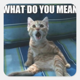 Lönsamma kattklistermärken fyrkantigt klistermärke