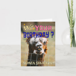Lönsamt Alpaca-födelsedagskort - Djurpun Humor Helgkort