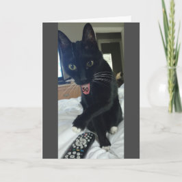 Lönsamt födelsedagskort 50:e katt kort