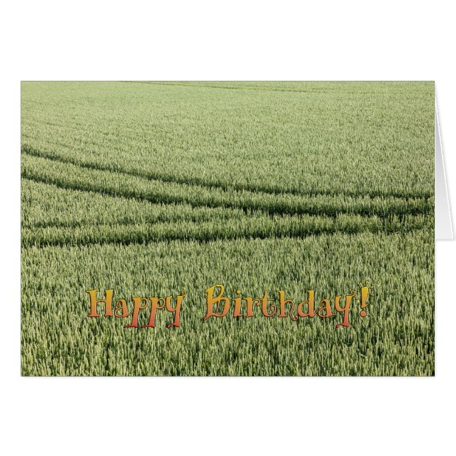 Lönsamt födelsedagskort hälsningskort (Framsidan Horizontal)