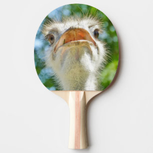 Lönsamt fotfoto från strutsdjur pingisracket