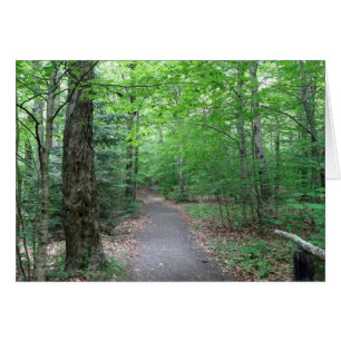 Lonsome Sjö Trail in New Hampshire Hälsningskort