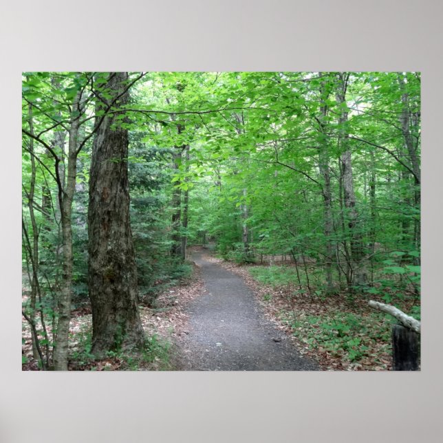 Lonsome Sjö Trail in New Hampshire Poster (Framsidan)