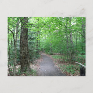 Lonsome Sjö Trail in New Hampshire Vykort