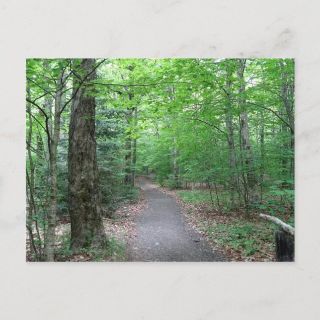 Lonsome Sjö Trail in New Hampshire Vykort (Framsida)