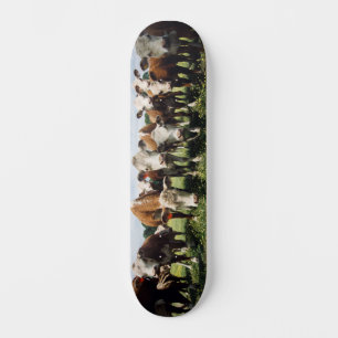 Lookie hit Cowabunga Mini Skateboard Bräda 18,5 Cm