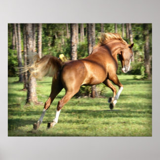 Lookie Lou med Roligt Poster