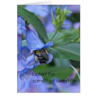 lookin för något som är söt?? hälsningskort