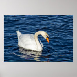 Looking About Poster