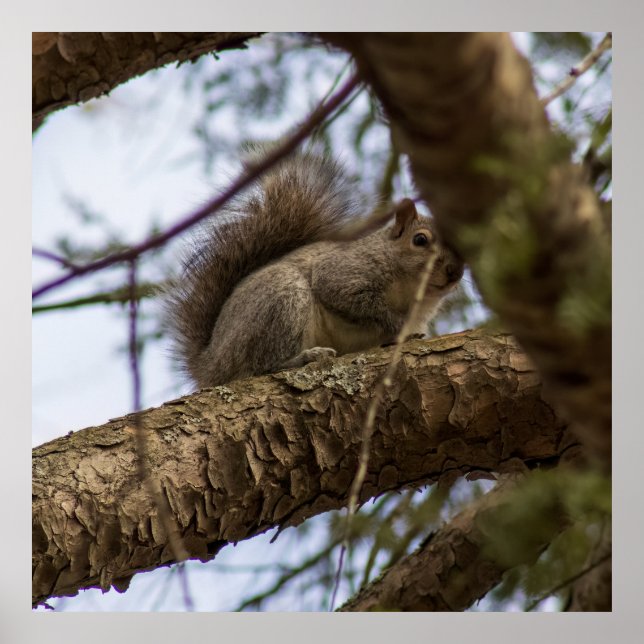 Looking Down Poster (Framsidan)