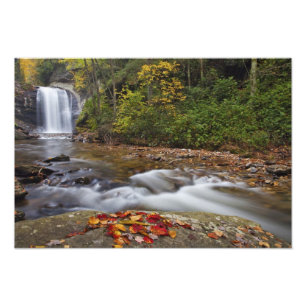 Looking Glass Falls i Pisgah National Fototryck
