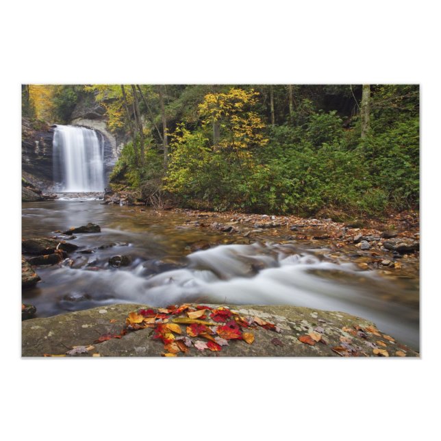 Looking Glass Falls i Pisgah National Fototryck (Framsidan)