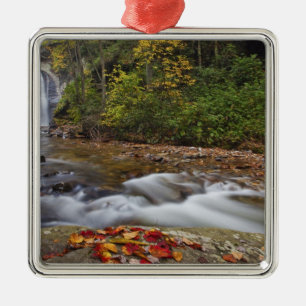 Looking Glass Falls i Pisgah National Julgransprydnad Metall