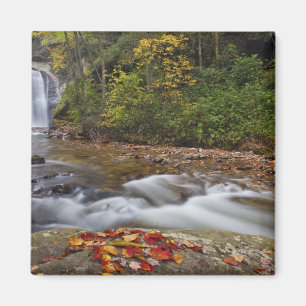 Looking Glass Falls i Pisgah National Magnet