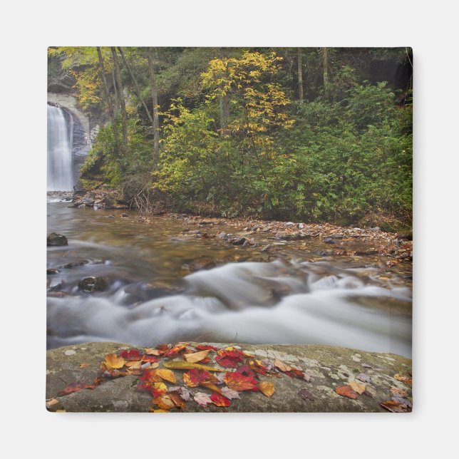 Looking Glass Falls i Pisgah National Magnet (Framsidan)