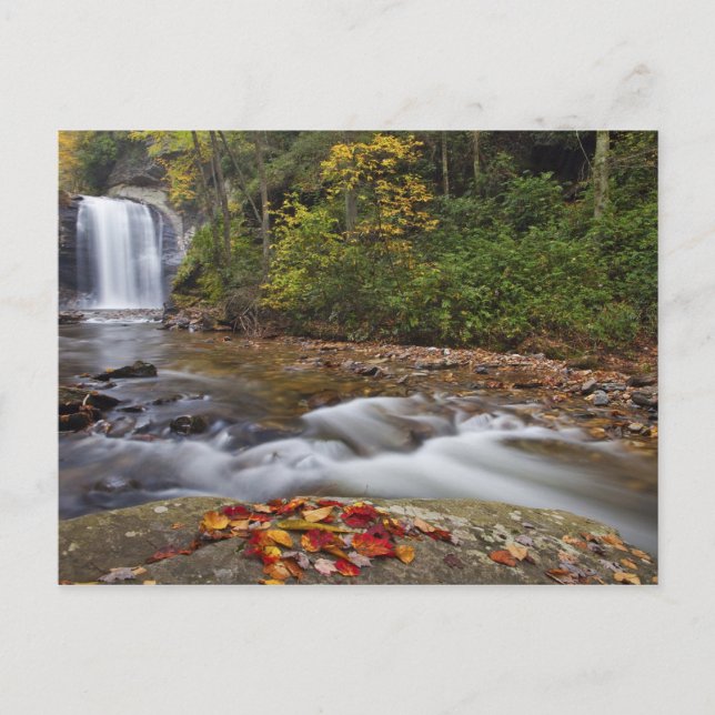 Looking Glass Falls i Pisgah National Vykort (Framsida)
