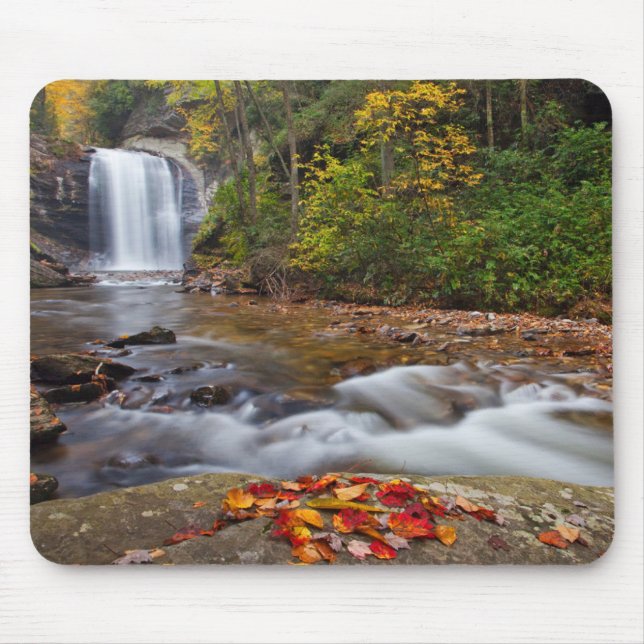 Looking Glass Falls Pisgah National Forest Musmatta (Framsidan)