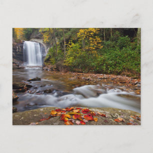 Looking Glass Falls Pisgah National Forest Vykort