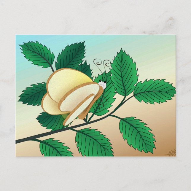 Looking Glass Insekter - Bröd och Fjäril Vykort (Framsida)