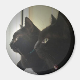 looking out the window magnet