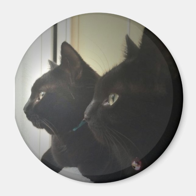 looking out the window magnet (Framsidan)