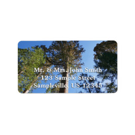 Looking Up at Mariposa Grove Adressetikett