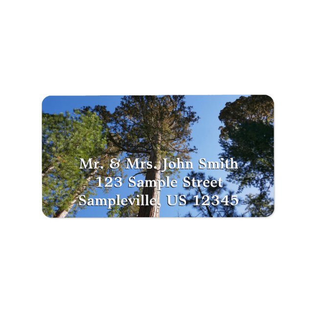 Looking Up at Mariposa Grove Adressetikett (Framsidan)