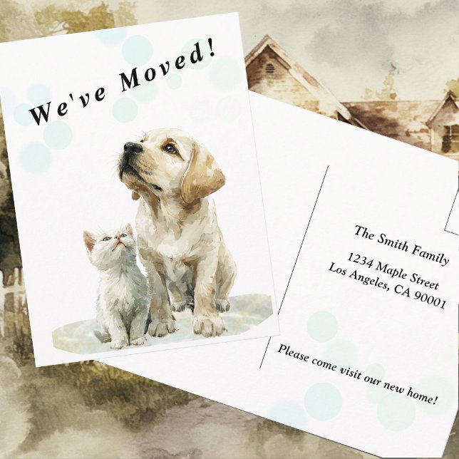 Looking Up at You – Moving Announcement 3 Vykort (Skapare uppladdad)