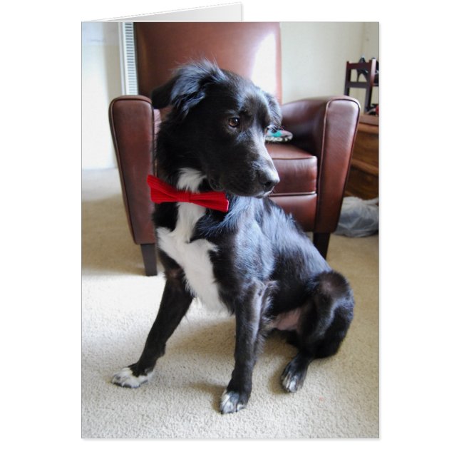 Lookin'more Fab Hälsningskort (Framsidan)