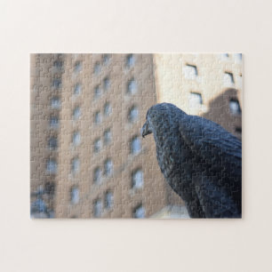 Lookout Uggla Herald Square Manhattan New York Cit Pussel
