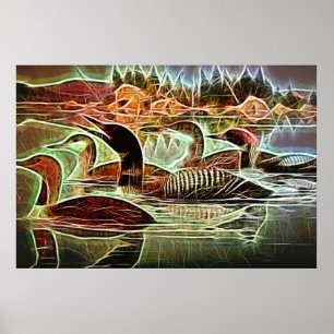 Loon Birds Poster