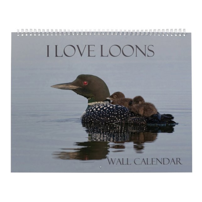 Loon Calendar - 14,25 x 11 (stor väggkalender) Kalender (Omslag)
