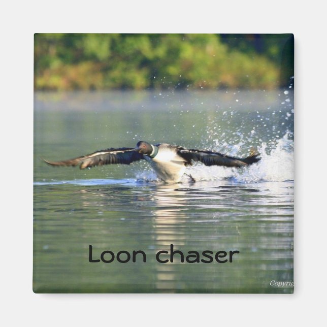 Loon Chaser Magnet (Framsidan)