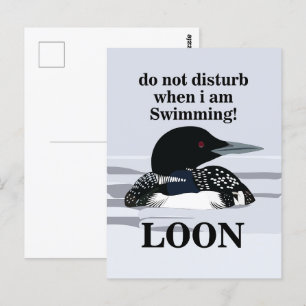 Loon Common Loon Bird Vatten Sjö Funny Vykort