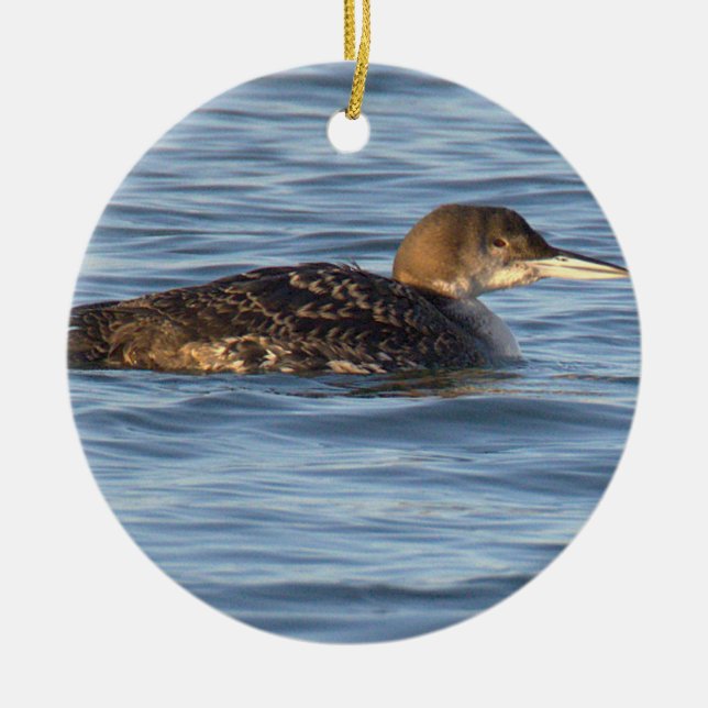 Loon Fågel Ornament (Framsidan)