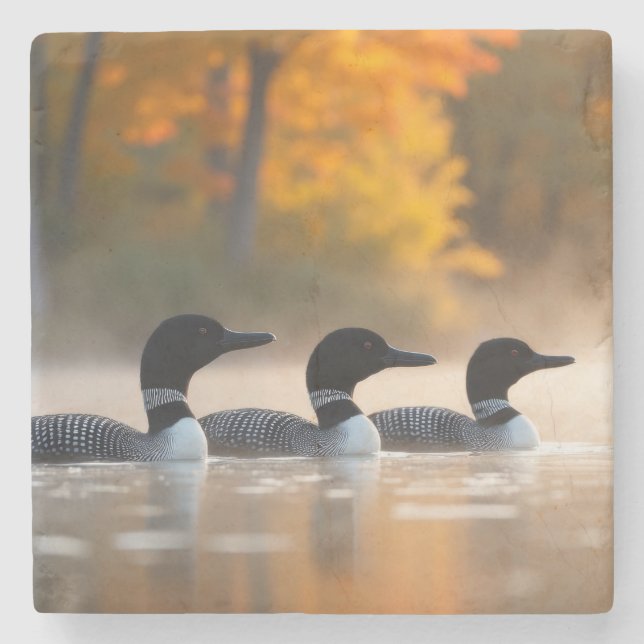 Loon Family i höst Stenunderlägg (Framsidan)