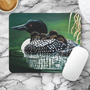 Loon Family Outing Musmatta