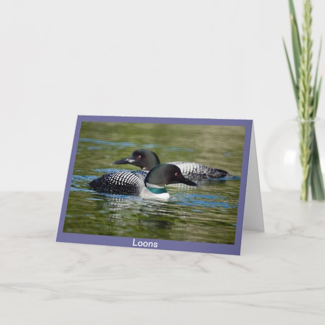 Loon Greeting Card Kort (Framsida)