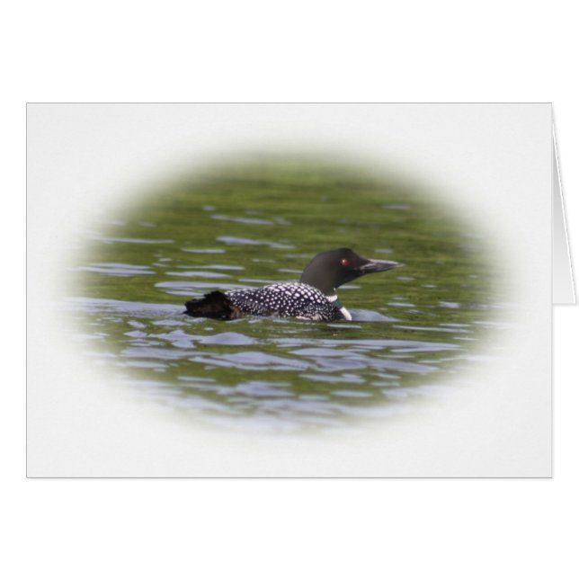 Loon Hälsningskort (Framsidan Horizontal)