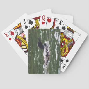 Loon med babyar 2 casinokort