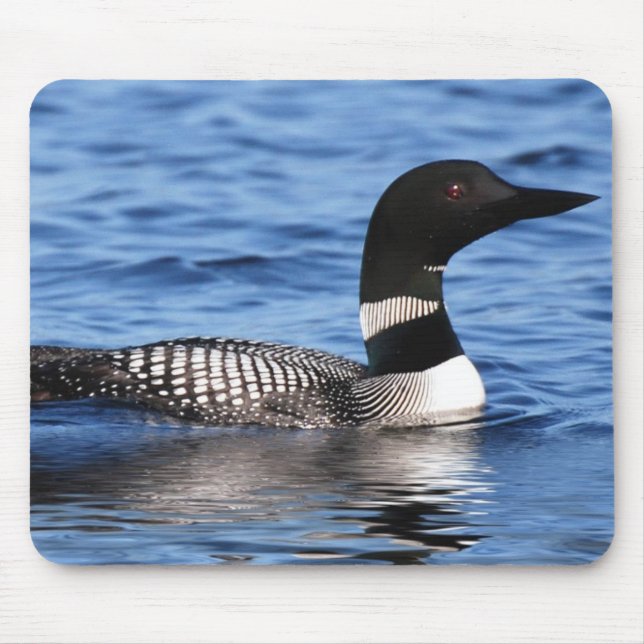 loon musmatta (Framsidan)