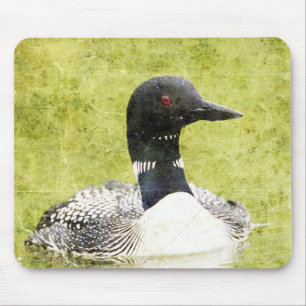 Loon Musmatta