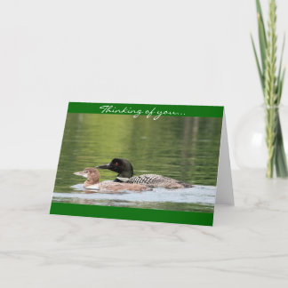 Loon och bebis - som är tänkande av dig kort