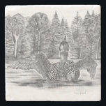 Loon på Sjö Stenunderlägg<br><div class="desc">Loon som sprider vingar före flygning</div>