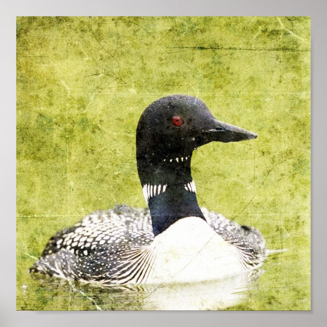 Loon Poster (Framsidan)