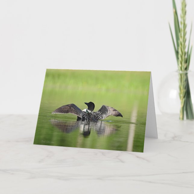 Loon Stretch Kort (Framsida)