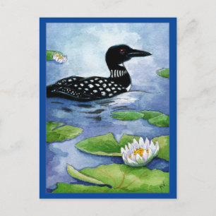 Loon, vatten, natur, vykort för norra sjö