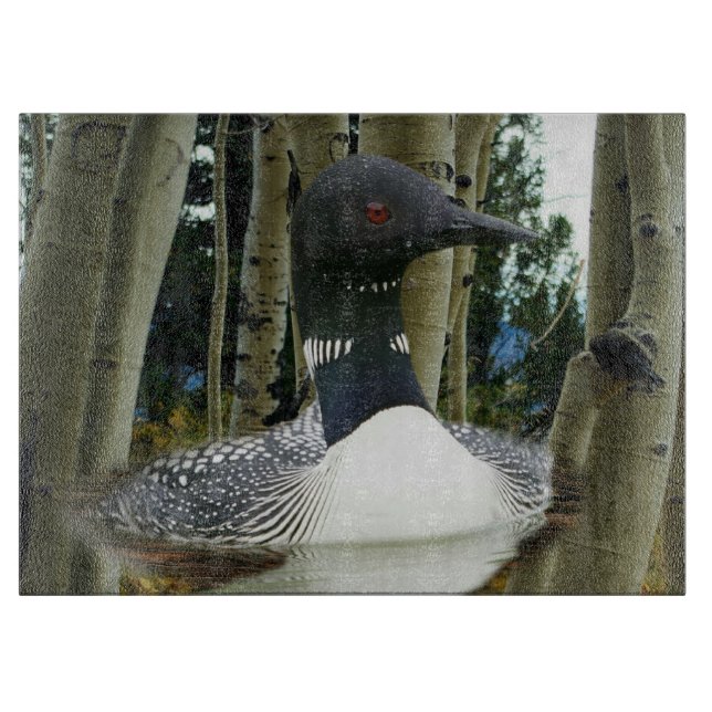 Loon Wilderness (Framsidan)