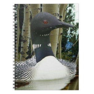 Loon Wilderness Anteckningsbok